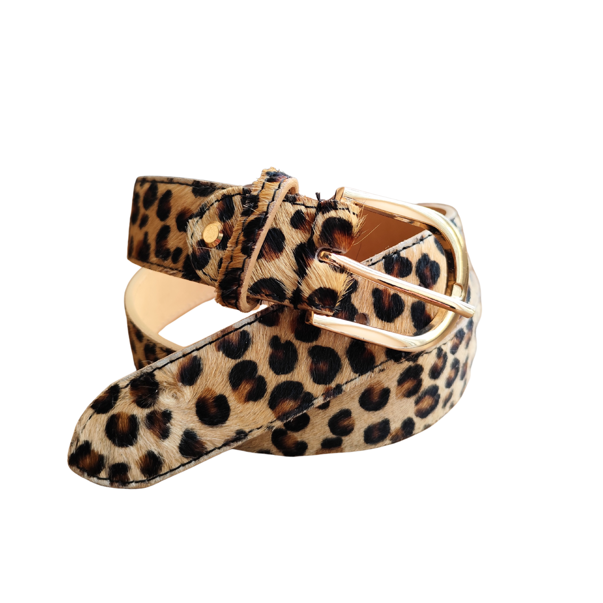 3.5_cintaleoppiccolioro