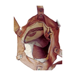 A Meta Prezzo! STOCK SS206 Tote Bag in Vera Pelle Sauvage Stile Vintage Made In Italy